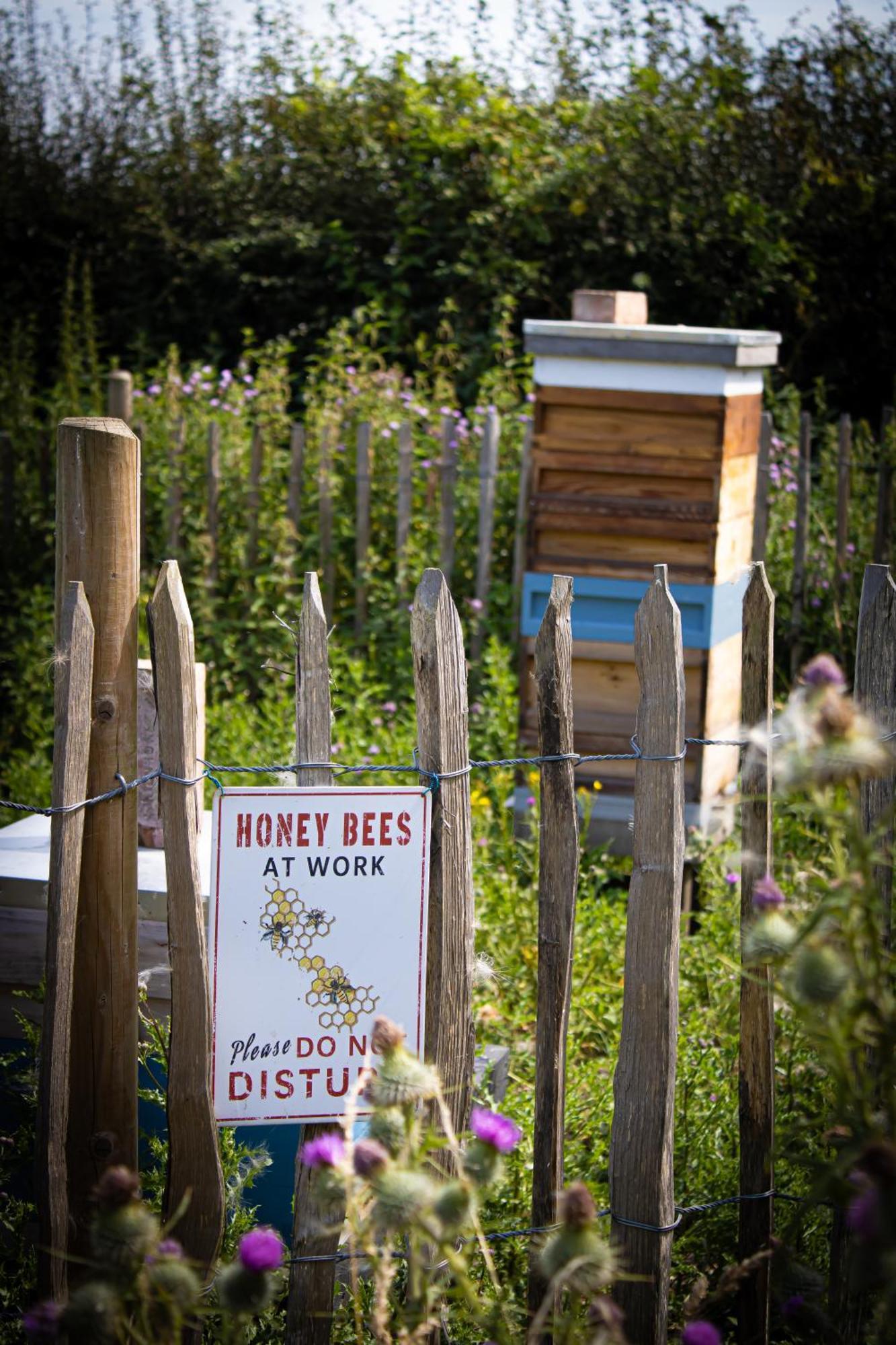 Home Farm & Lodge Bawtry Esterno foto