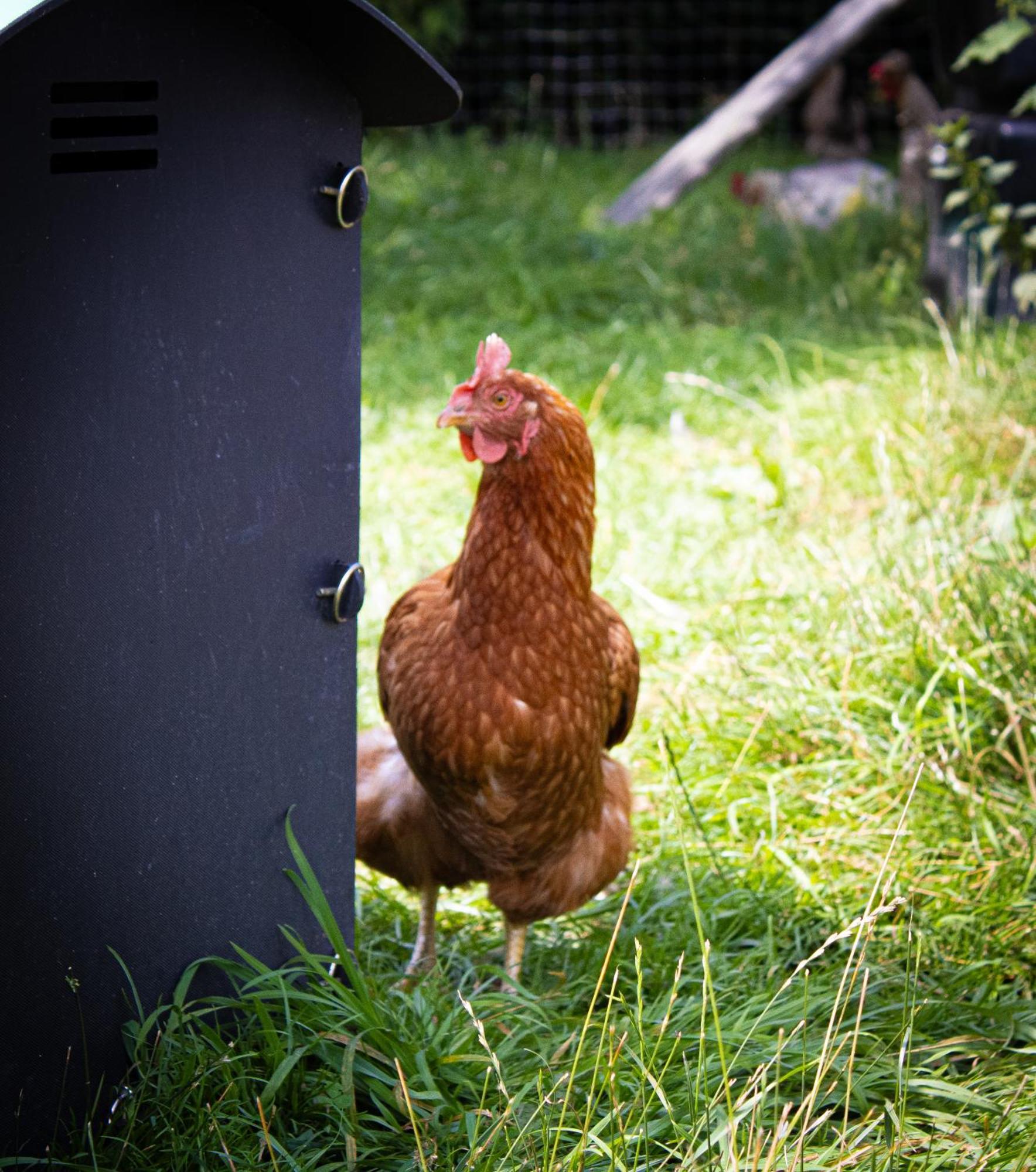 Home Farm & Lodge Bawtry Esterno foto