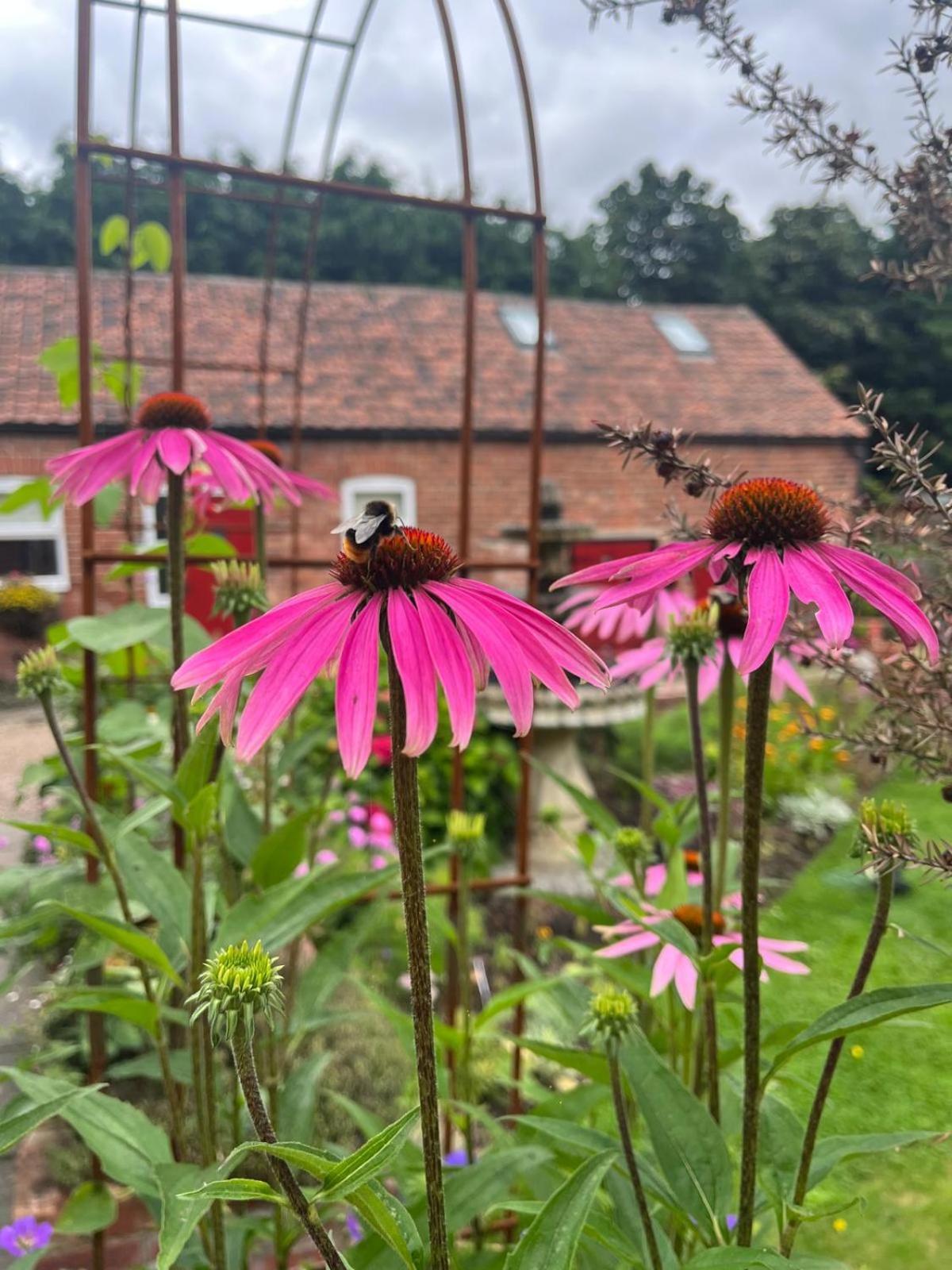 Home Farm & Lodge Bawtry Esterno foto